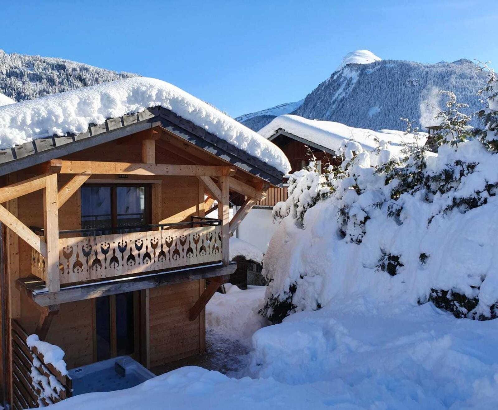 Chalet Delphinette